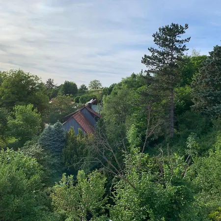 アパート Schwarzwaldmarie *