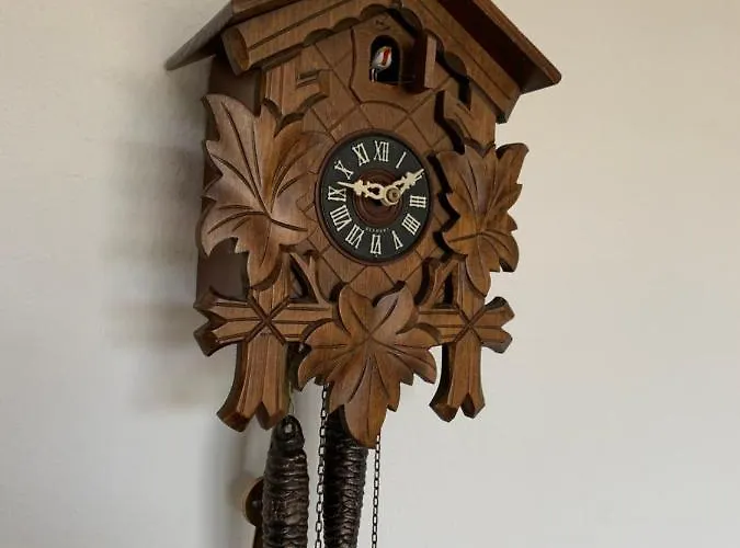 Schwarzwaldmarie 公寓 布尔