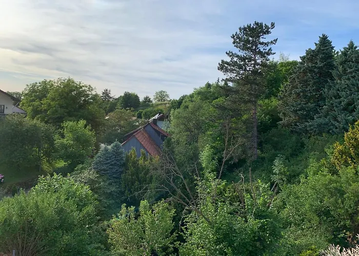 公寓 Schwarzwaldmarie *