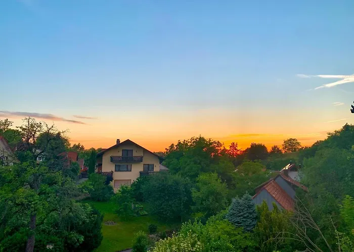 Schwarzwaldmarie * 布尔